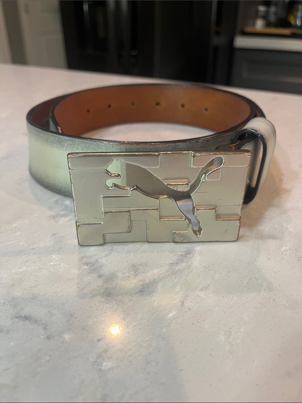 Puma Silver Metallic Logo Golf Belt with Light Iridescent Strap